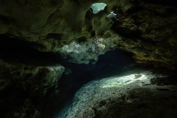 Hermosa Vista Una Formación Cuevas Submarinas Tomado Sisters Springs Chassahowitzka —  Fotos de Stock