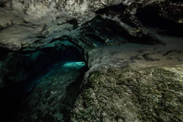 Beautiful View Underwater Cave Formation Taken Sisters Springs Chassahowitzka River — Stock Photo, Image