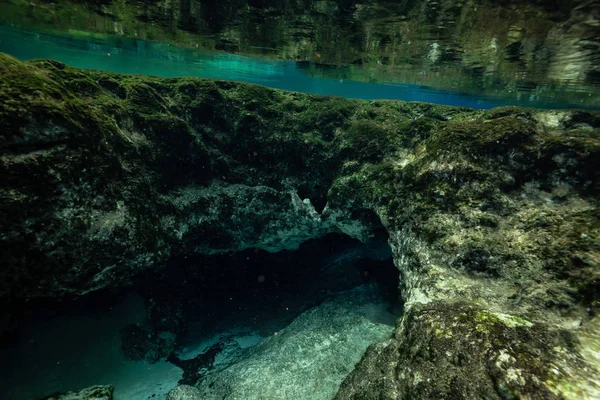 Schöne Aussicht Auf Eine Unterwasserhöhlenformation Aufgenommen Sister Springs Chassahowitzka River — Stockfoto