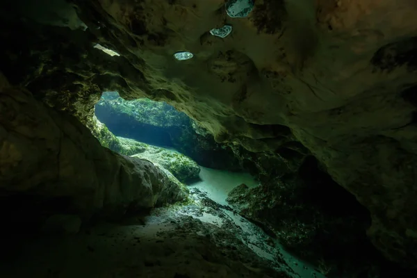 Schöne Aussicht Auf Eine Unterwasserhöhlenformation Aufgenommen Sister Springs Chassahowitzka River — Stockfoto