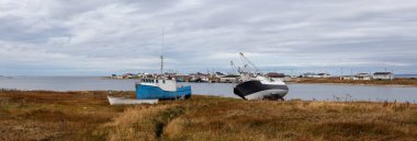 Panoramik deniz araçları ile Atlas Okyanusu kıyısında küçük bir kasaba üzerinde karada park etmiş. Flower's Cove, Newfoundland ve Labrador, Kanada içinde alınan.