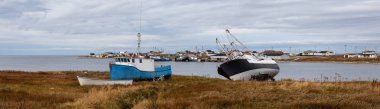 Panoramik deniz araçları ile Atlas Okyanusu kıyısında küçük bir kasaba üzerinde karada park etmiş. Flower's Cove, Newfoundland ve Labrador, Kanada içinde alınan.