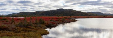 Vibant güneşli bir sonbahar sezonu sırasında güzel bir Kanada manzara panoramik manzaralı. Stephenville, Newfoundland, Kanada'da alınan.