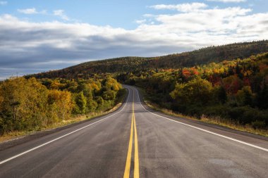 Manzara otoyol canlı güneşli bir sonbahar sezonu sırasında. Çekilen Newfoundland, Canada.