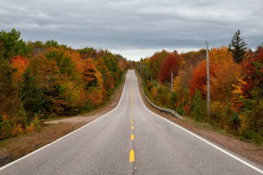 Sonbahar sezonu bir bulutlu gün boyunca doğal yolu. Nova Scotia, Kanada alınan.