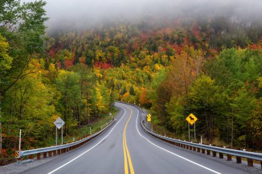 Canlı sonbahar ağaçlarıyla çevrili dağ manzaralı yol. Forillon Milli Parkı'nda, Gasp, Quebec, Kanada yakınlarında alınan.