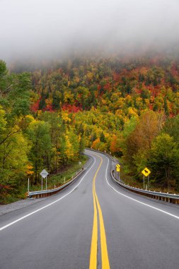 Canlı sonbahar ağaçlarıyla çevrili dağ manzaralı yol. Forillon Milli Parkı'nda, Gasp, Quebec, Kanada yakınlarında alınan.