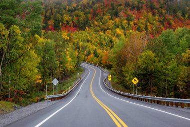 Canlı sonbahar ağaçlarıyla çevrili dağ manzaralı yol. Forillon Milli Parkı'nda, Gasp, Quebec, Kanada yakınlarında alınan.