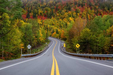 Canlı sonbahar ağaçlarıyla çevrili dağ manzaralı yol. Forillon Milli Parkı'nda, Gasp, Quebec, Kanada yakınlarında alınan.