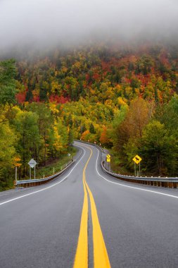 Canlı sonbahar ağaçlarıyla çevrili dağ manzaralı yol. Forillon Milli Parkı'nda, Gasp, Quebec, Kanada yakınlarında alınan.