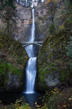 Güzel manzara ile Multnomah Falls bir nehir içinde belgili tanımlık geçmiş üzerinde gidiş köprü. Portland, Oregon, ABD yakınında bulunan.