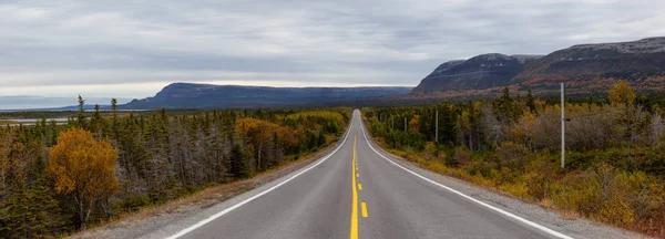 Vacker Utsikt Över Vacker Väg Molnig Dag Tagit Norra Newfoundland — Stockfoto