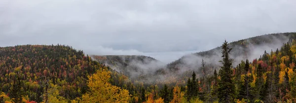 在一个秋天的季节 在大西洋沿岸的加拿大风景的美丽全景 在加拿大魁北克格兰德 瓦莱附近拍摄 — 图库照片