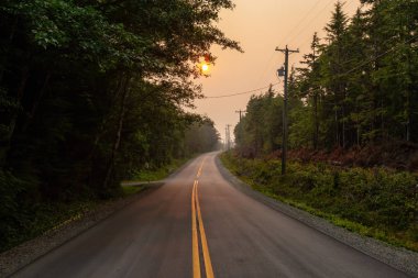 Bir canlı yaz gün boyunca doğal orman yolu. Florencia Bay, Ucluelet ve Estevan, Vancouver Adası, Bc, Kanada çekilmiş.