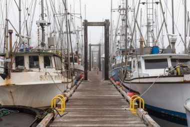 Ucluelet, Vancouver Adası, Bc, Kanada - 22 Ağustos 2018: balıkçı tekneleri bir Marina dumanlı ve canlı sabah gün doğumu.