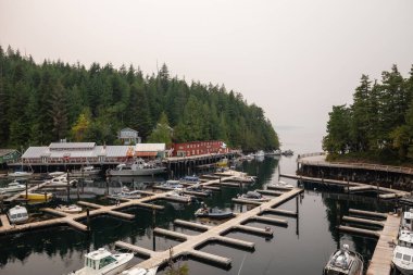 Cove, Vancouver Adası, Bc, Kanada - 20 Ağustos 2018 telegraph: Güzel manzara sisli bir gün boyunca Marina.