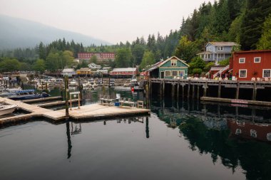 Cove, Vancouver Adası, Bc, Kanada - 20 Ağustos 2018 telegraph: Güzel manzara sisli bir gün boyunca Marina.