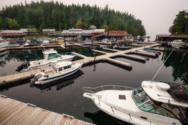 Cove, Vancouver Adası, Bc, Kanada - 20 Ağustos 2018 telegraph: Güzel manzara sisli bir gün boyunca Marina.