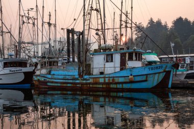 Ucluelet, Vancouver Adası, Bc, Kanada - 21 Ağustos 2018: balıkçı tekneleri bir Marina dumanlı ve canlı sabah gün doğumu.