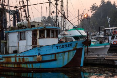 Ucluelet, Vancouver Adası, Bc, Kanada - 21 Ağustos 2018: balıkçı tekneleri bir Marina dumanlı ve canlı sabah gün doğumu.
