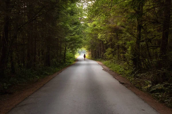 Mulher Caminhando Estrada Floresta Cênica Durante Dia Vibrante Verão Tomado — Fotografia de Stock