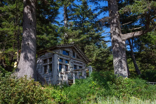 Abri Urgence Sur Côte Océan Pacifique Par Une Journée Ensoleillée — Photo