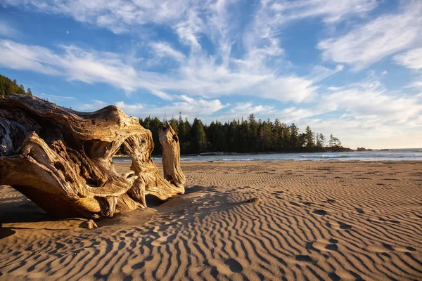 鮮やかな夏の日没時に太平洋岸の美しい砂浜のビーチ いかだコーブ州立公園 北のバンクーバーの島 カナダでの撮影 — ストック写真