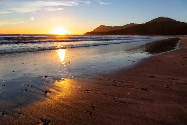 Bela Praia Areia Costa Oceano Pacífico Durante Sol Verão Vibrante — Fotografia de Stock