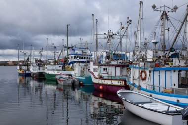Twillingate, Newfoundland, Canada - 15 Ekim 2018: bulutlu sabah sırasında bir Marinada Park balıkçı tekneleri.