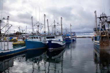 Twillingate, Newfoundland, Canada - 15 Ekim 2018: bulutlu sabah sırasında bir Marinada Park balıkçı tekneleri.