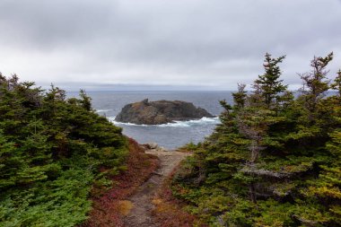 Güzel manzaralı bir bulutlu gün boyunca kayalık bir Atlantik Okyanusu kıyılarının. Uykulu Cove, karga baş, Twillingate, Newfoundland, Kanada'da alınan.