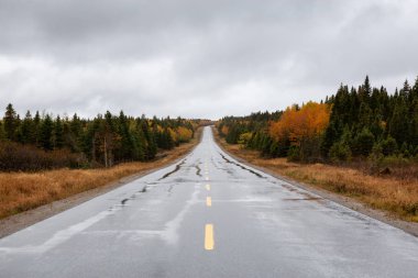 Sonbahar sezonu bir bulutlu gün boyunca doğal yolu. Kuzey Newfoundland, Canada alınan.