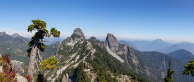 Kanada dağ manzarası güzel panoramik manzaralı bir canlı yaz gün boyunca. Howe Ses izi Vancouver, Bc, Kanada yakınlarında yer alan.