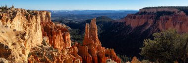 Güneşli bir gün boyunca Amerikan bir manzara güzel manzarasına. Bryce Canyon Milli Parkı, Utah, Amerika Birleşik Devletleri içinde alınan.