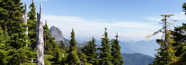 活気のある夏の日の間にカナダの山の風景の美しいパノラマの景色 サウンド トレイル バンクーバー カナダの近くに位置します — ストック写真