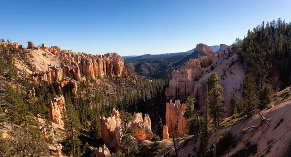 Vacker Utsikt Över Amerikansk Landskap Solig Dag Tagit Nationalparken Bryce — Stockfoto