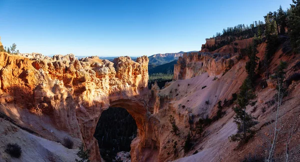 Beautiful View of an American landscape during a sunny day. Taken in Bryce Canyon National Park, Utah, United States of America.