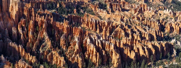 Beautiful View of an American landscape during a sunny day. Taken in Bryce Canyon National Park, Utah, United States of America.