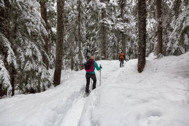 Karda beyaz kış gün boyunca snowshoeing. Kuzey Vancouver, Bc, Kanada Alexander Falls, Whistler ve Squamish, yakın için yürüyüşe geçen.