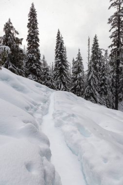 Karlı bir gün boyunca ormanda güzel Kanada kış manzara. Yürüyüşe Alexander Falls, Whistler yakınındaki ve Squamish, Kuzey Vancouver, Bc, Kanada için alınan.