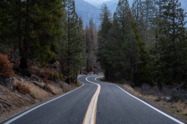 Doğal yol canlı sabah gün doğumu sırasında dağlarda. Stanislaus Ulusal Ormanı, California, Amerika Birleşik Devletleri içinde alınan.