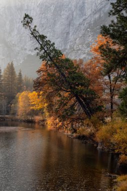 Güzel Amerikan manzara içinde Yosemite Milli Parkı, California, Amerika Birleşik Devletleri.