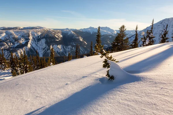 Schöne Kanadische Landschaft Während Eines Lebendigen Wintertages Aufgenommen Auf Dem — Stockfoto