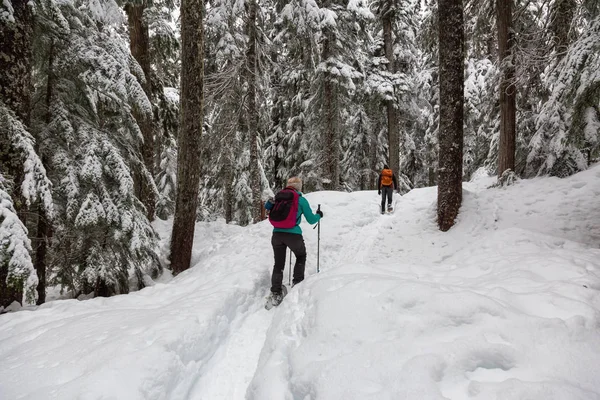 Sapato Neve Neve Durante Dia Inverno Branco Levado Uma Caminhada — Fotografia de Stock