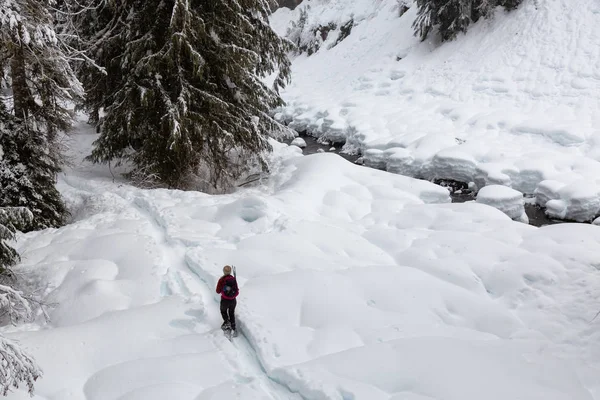 Karda Beyaz Kış Gün Boyunca Snowshoeing Kuzey Vancouver Kanada Alexander — Stok fotoğraf