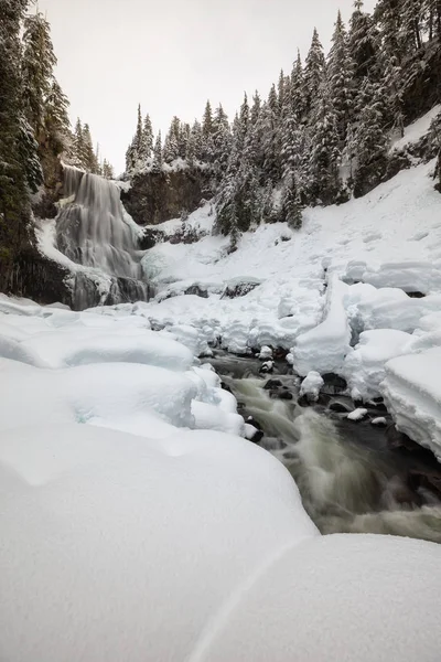 Piękny Krajobraz Zima Kanadyjski Wodospad Biały Dzień Snowy Podjęte Alexander — Zdjęcie stockowe