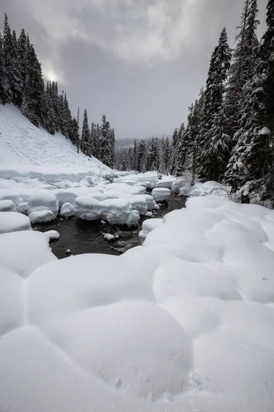 Paisagem Inverno Canadense Bonita Vale Montanha Durante Dia Nublado Levado — Fotografia de Stock