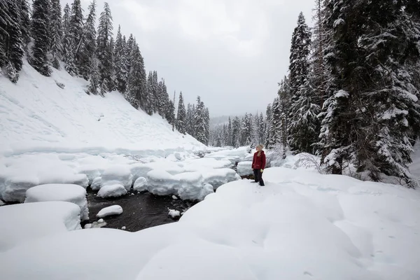 金髪の白人少女は 雪の日の間にカナダの冬景色を楽しんでいます 北のバンクーバー カナダのウィスラーとスカーミッシュ 近くのアレクサンダー フォールズに撮影 — ストック写真