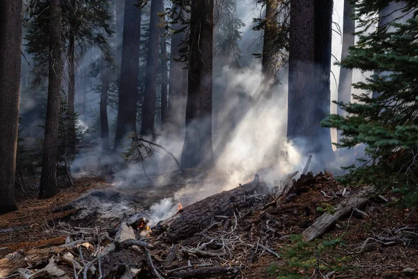 Дикий Лесной Пожар Национальном Парке Йосемити Калифорния Сша Взято Осенью — стоковое фото