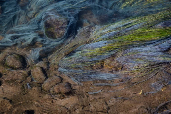 Zobacz Kolorowe Trawy Rzece Naturalnych Gorących Źródeł Hot Creek Geologiczne — Zdjęcie stockowe